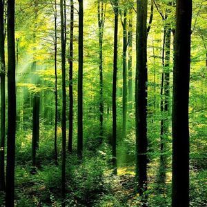 Meet your Posher, Tamanna